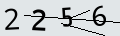 verifycode